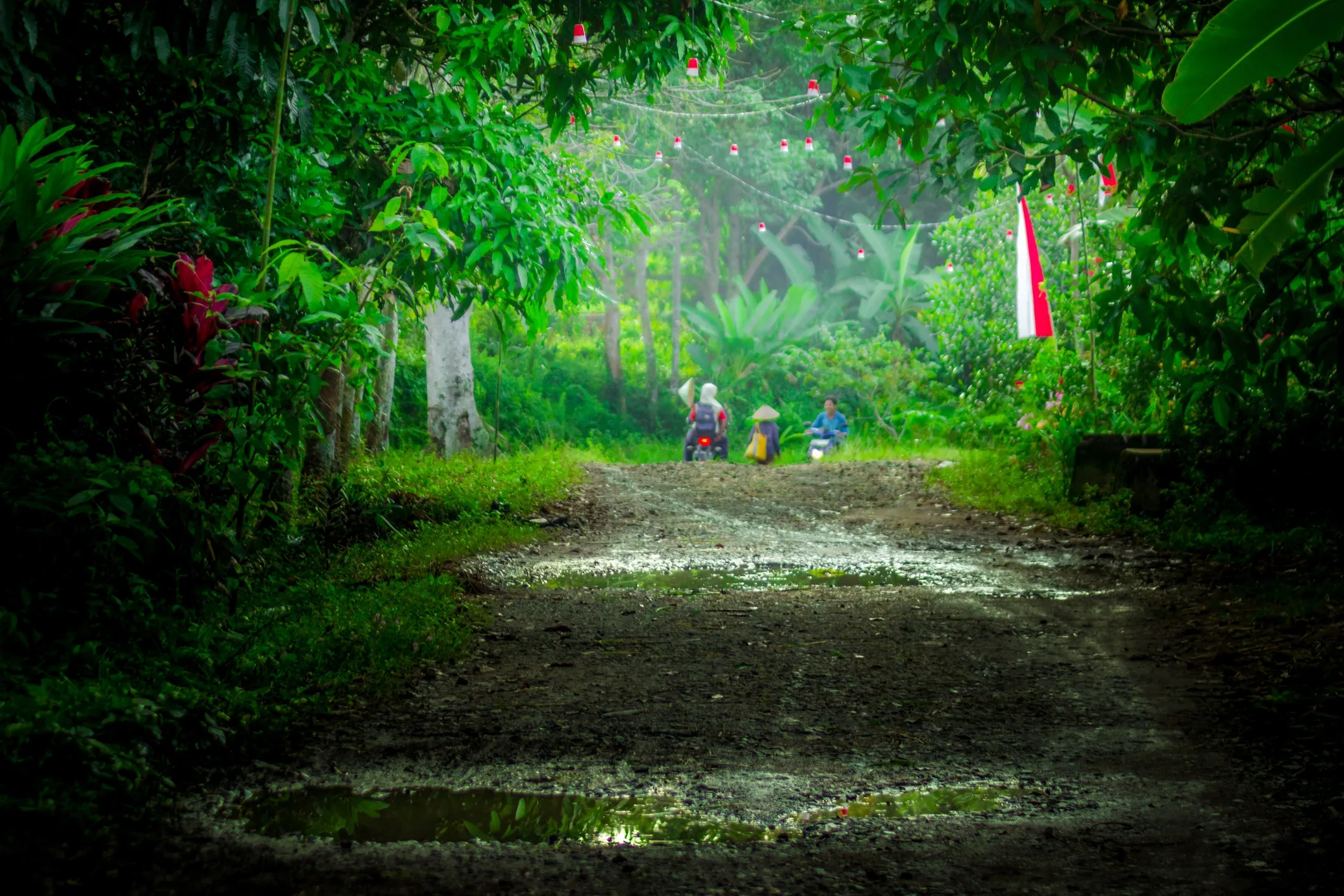 Getting Around Bali