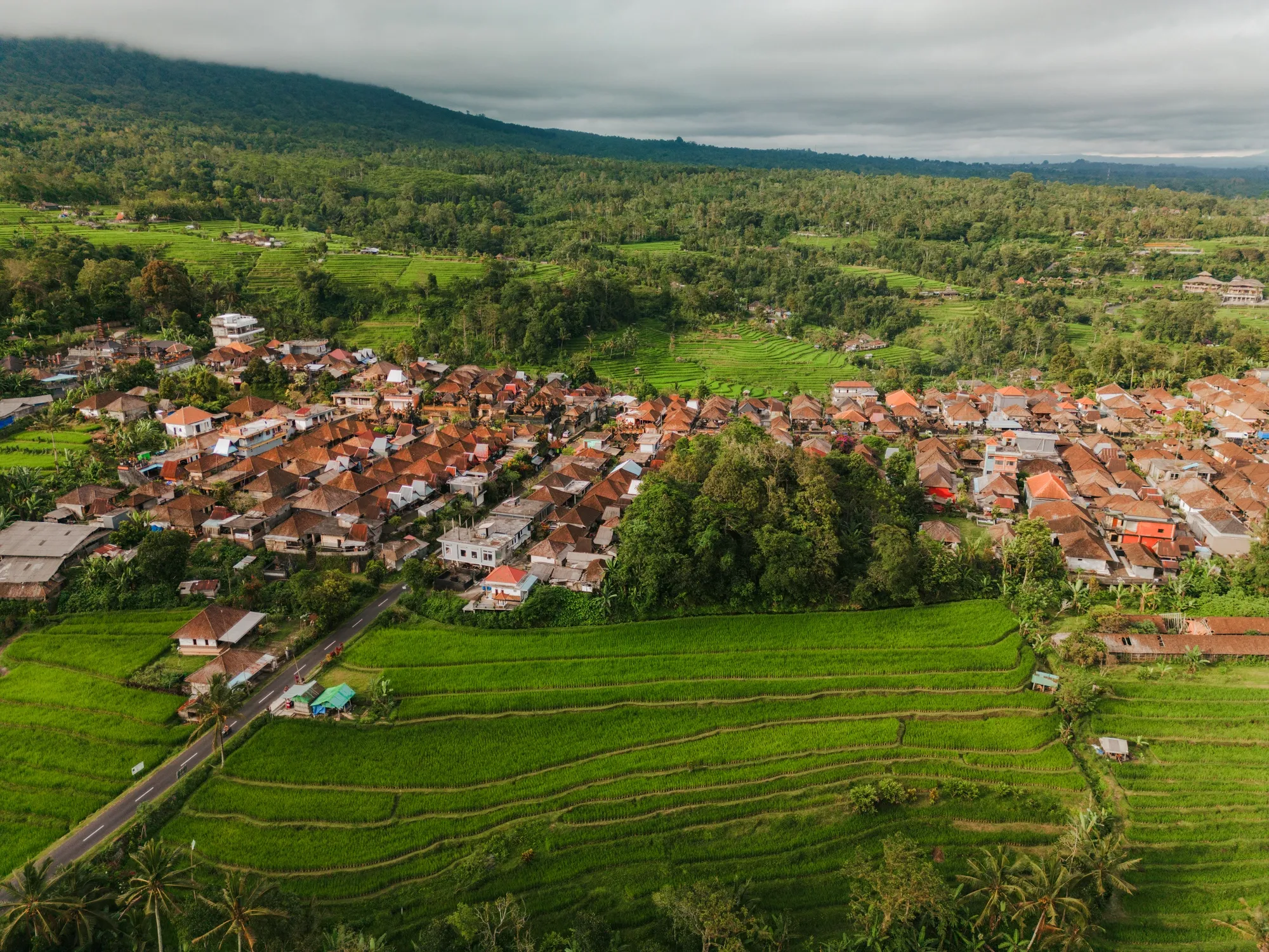 Aerial view of Bali