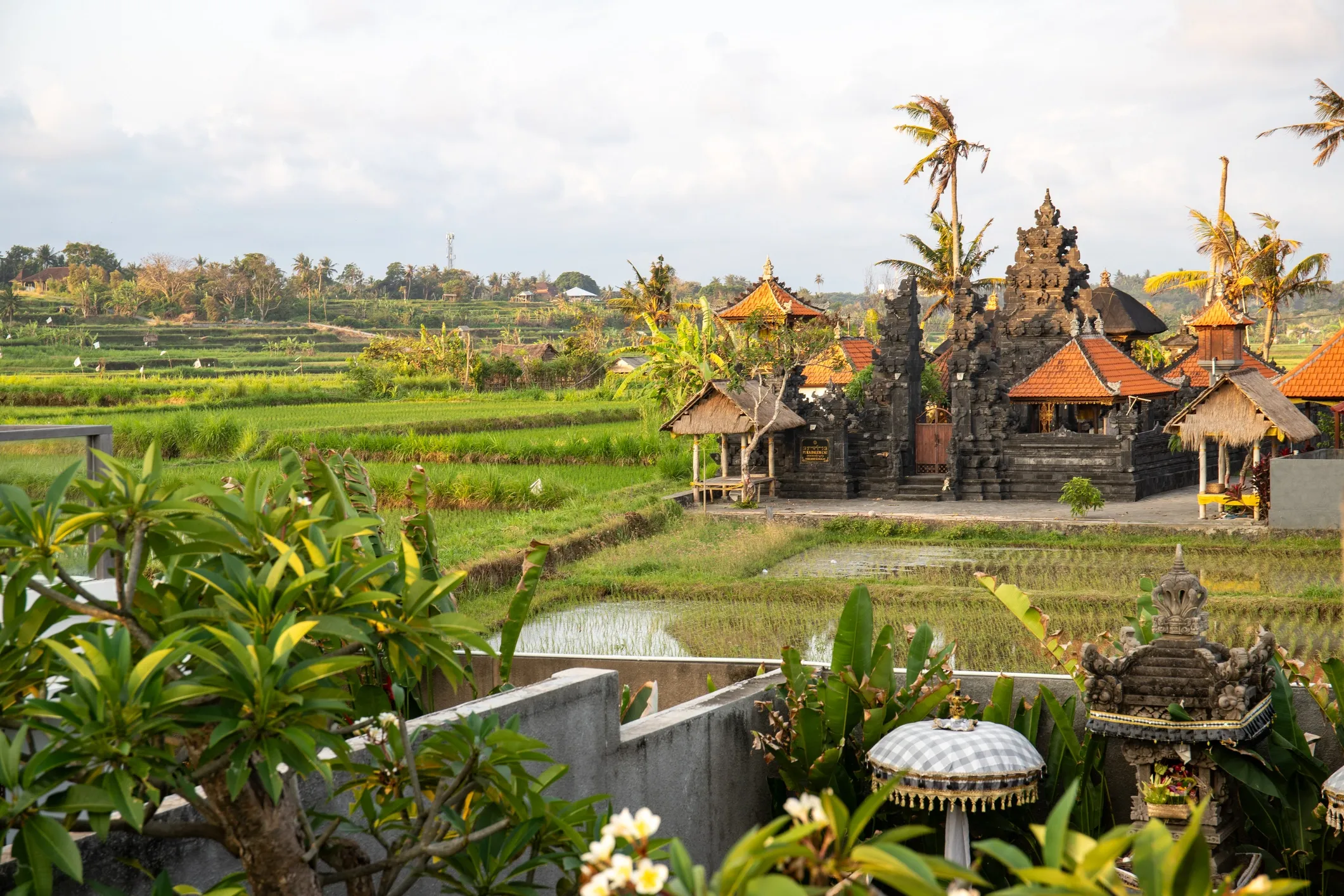 Plan your stay in Bali