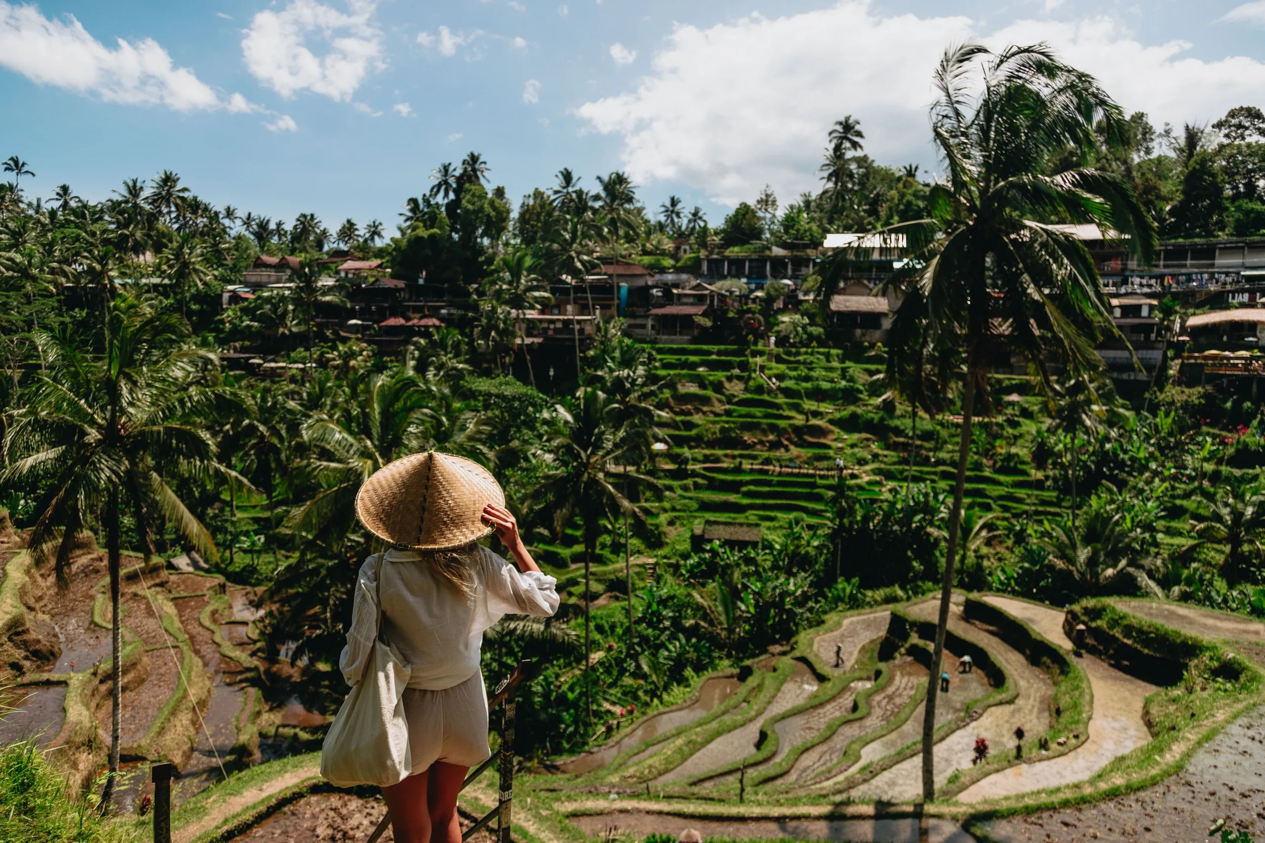 Tegallalang Rice Terrace
