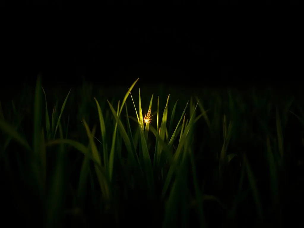 Close-up view of a glowing firefly in a lush Balinese rice field at night, photorealistic, high quality, contrasting dark background