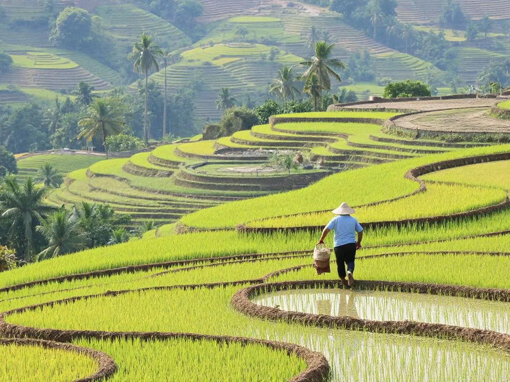 Balinese farmers working in a harmonious landscape with rice fields and traditional farming techniques, showcasing cultural preservation and sustainability Balinese farmers working in a harmonious landscape with rice fields and traditional farming techniques, showcasing cultural preservation and sustainability